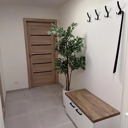 Na Vysočině Apartmán Svratouch